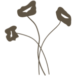 Logo Papaver Praktijk voor coaching bij rouw, verlies en nabijheid bij sterven